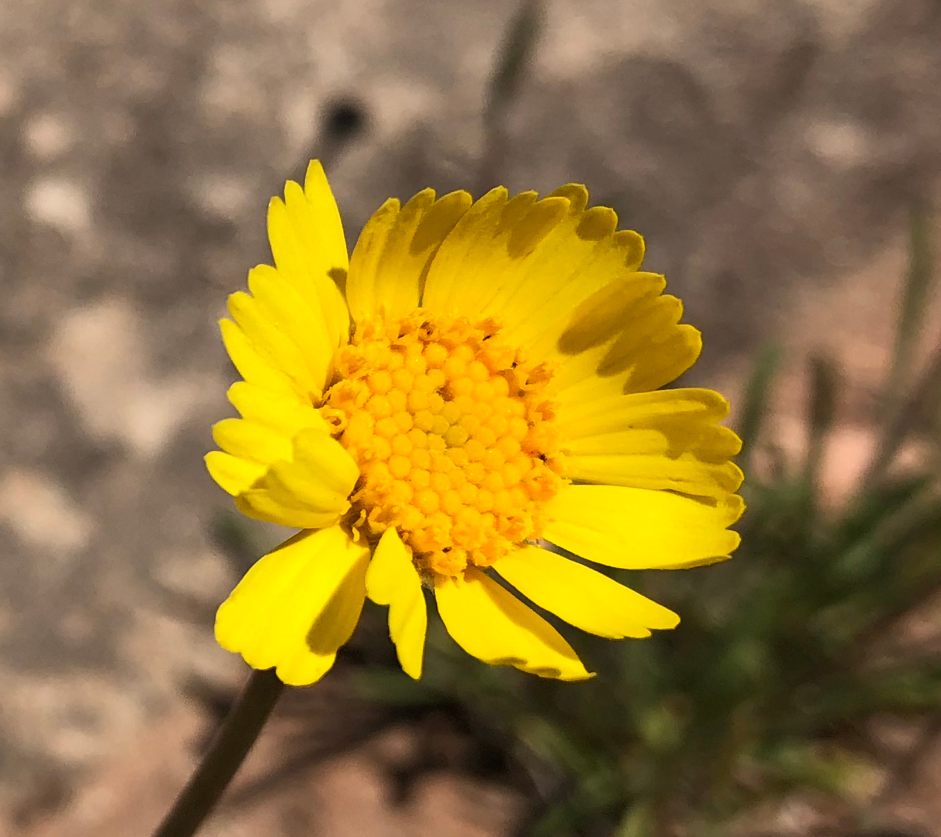 20180425_195123058_iOS