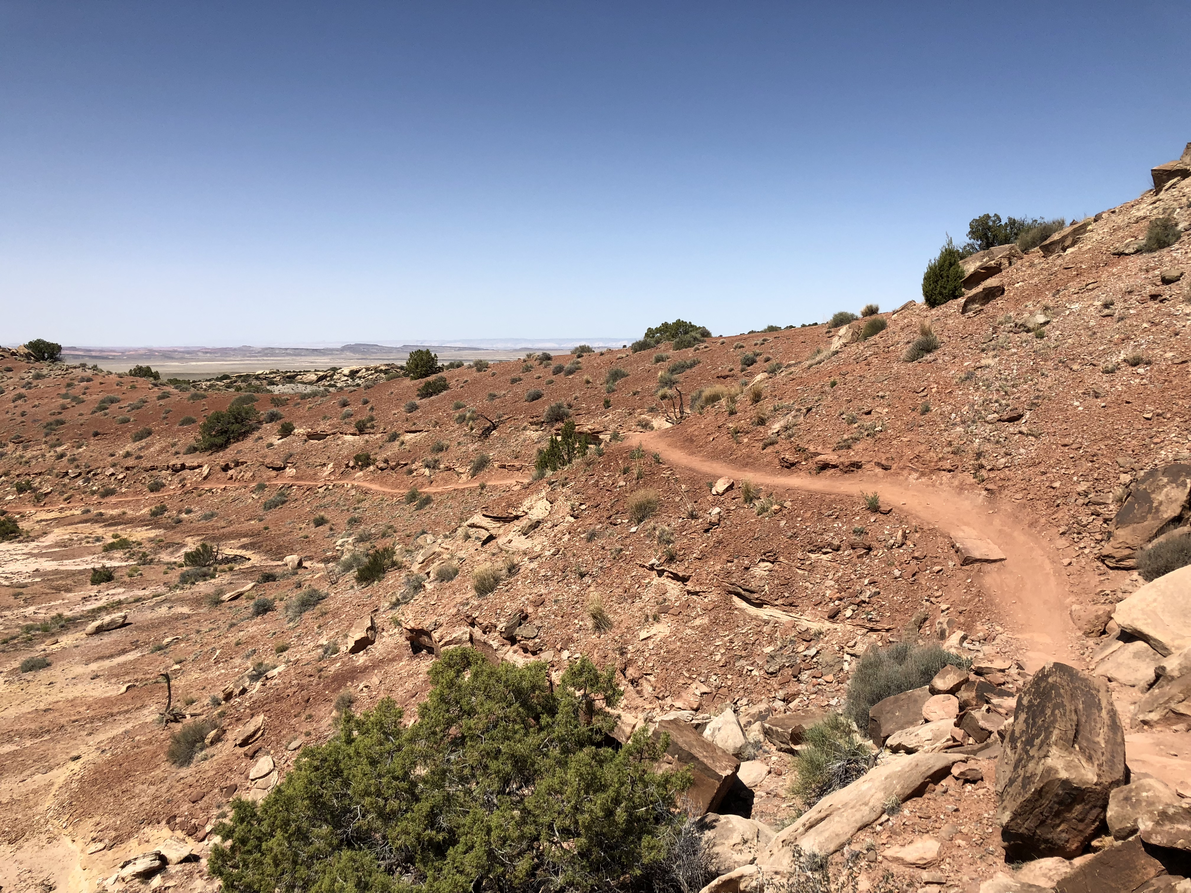 20180426_175520674_iOS