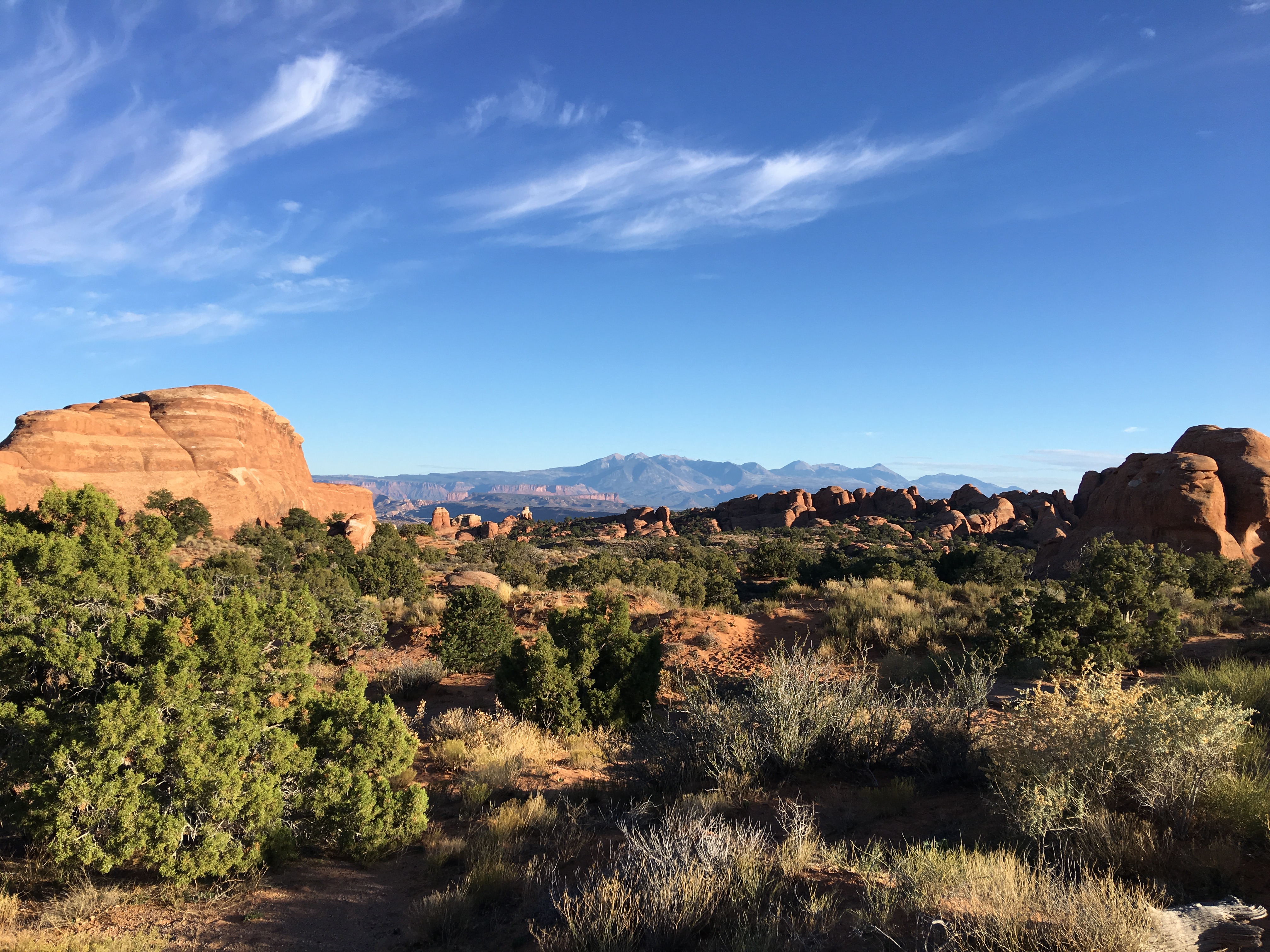 20161103_224931141_iOS