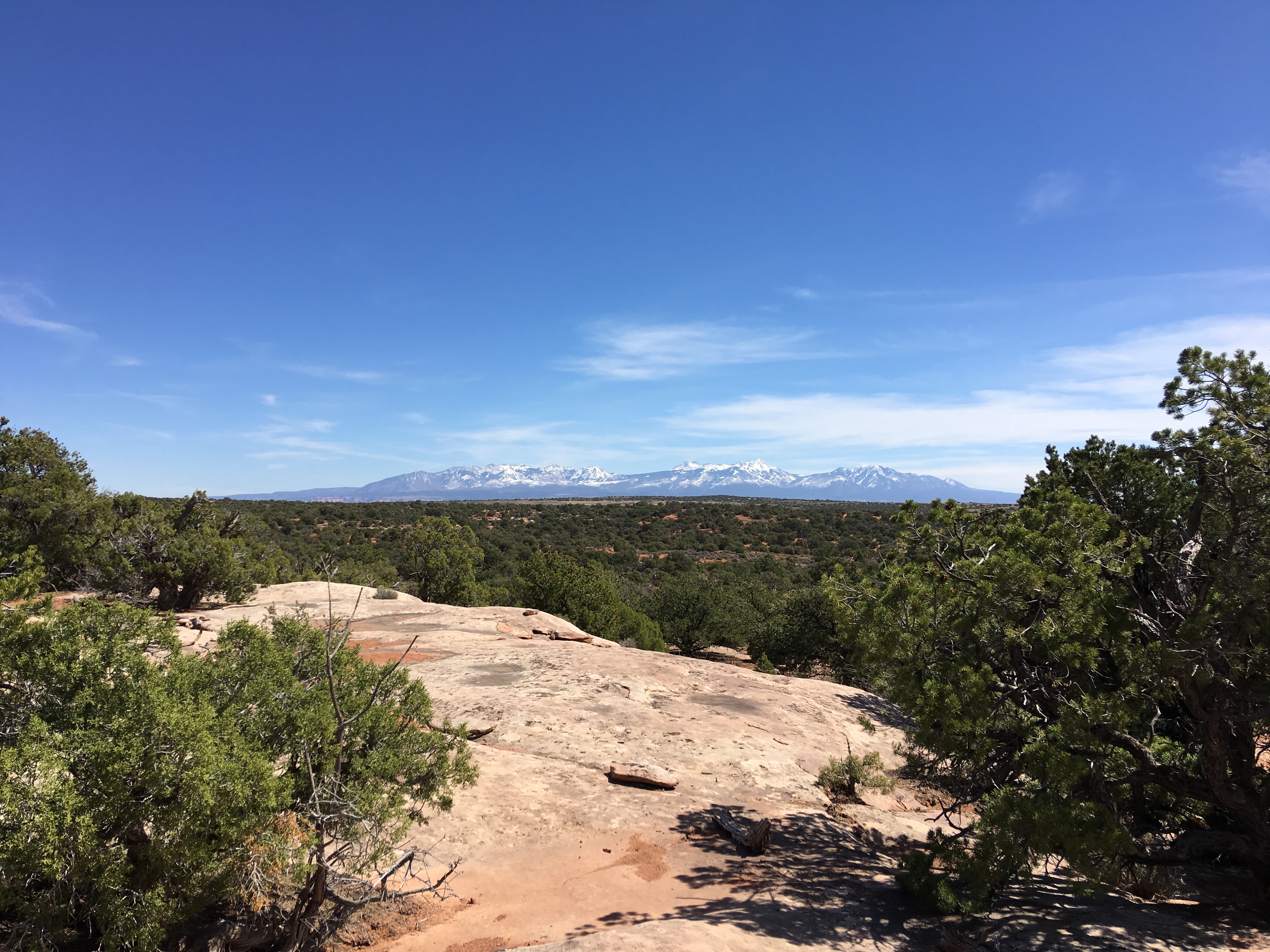 20170319_185640811_iOS