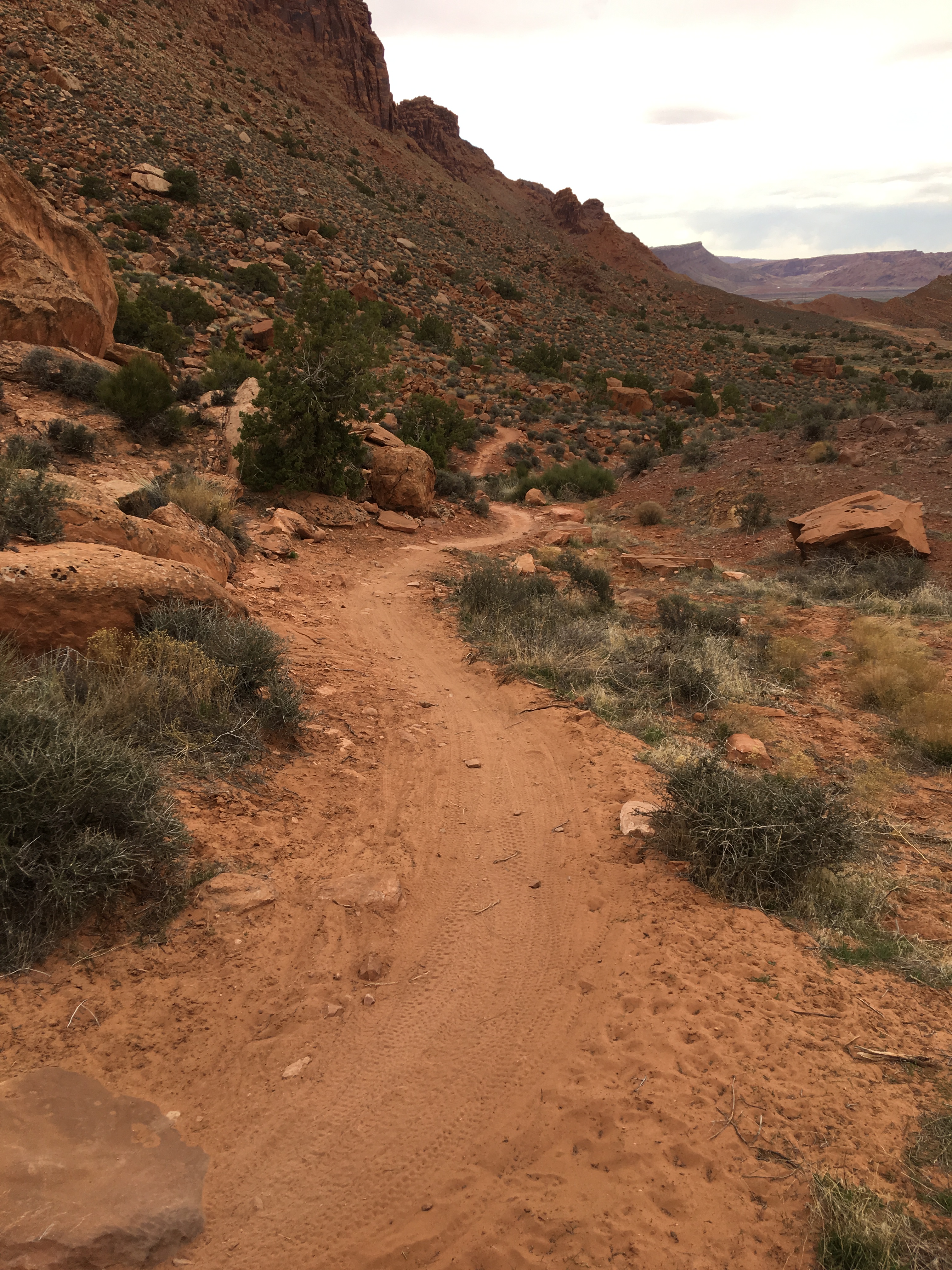 20170320_233906240_iOS