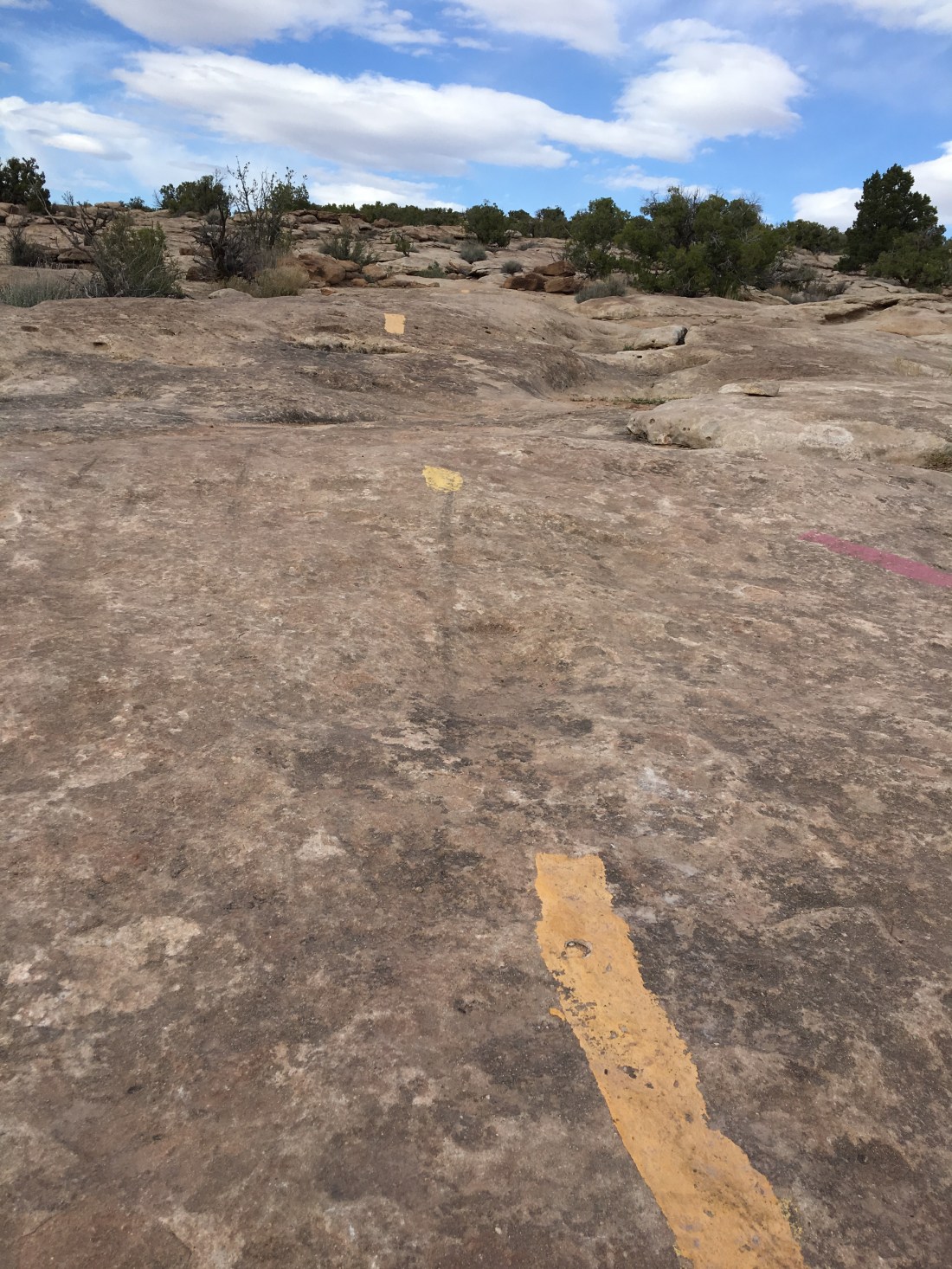 20170321_223851167_iOS