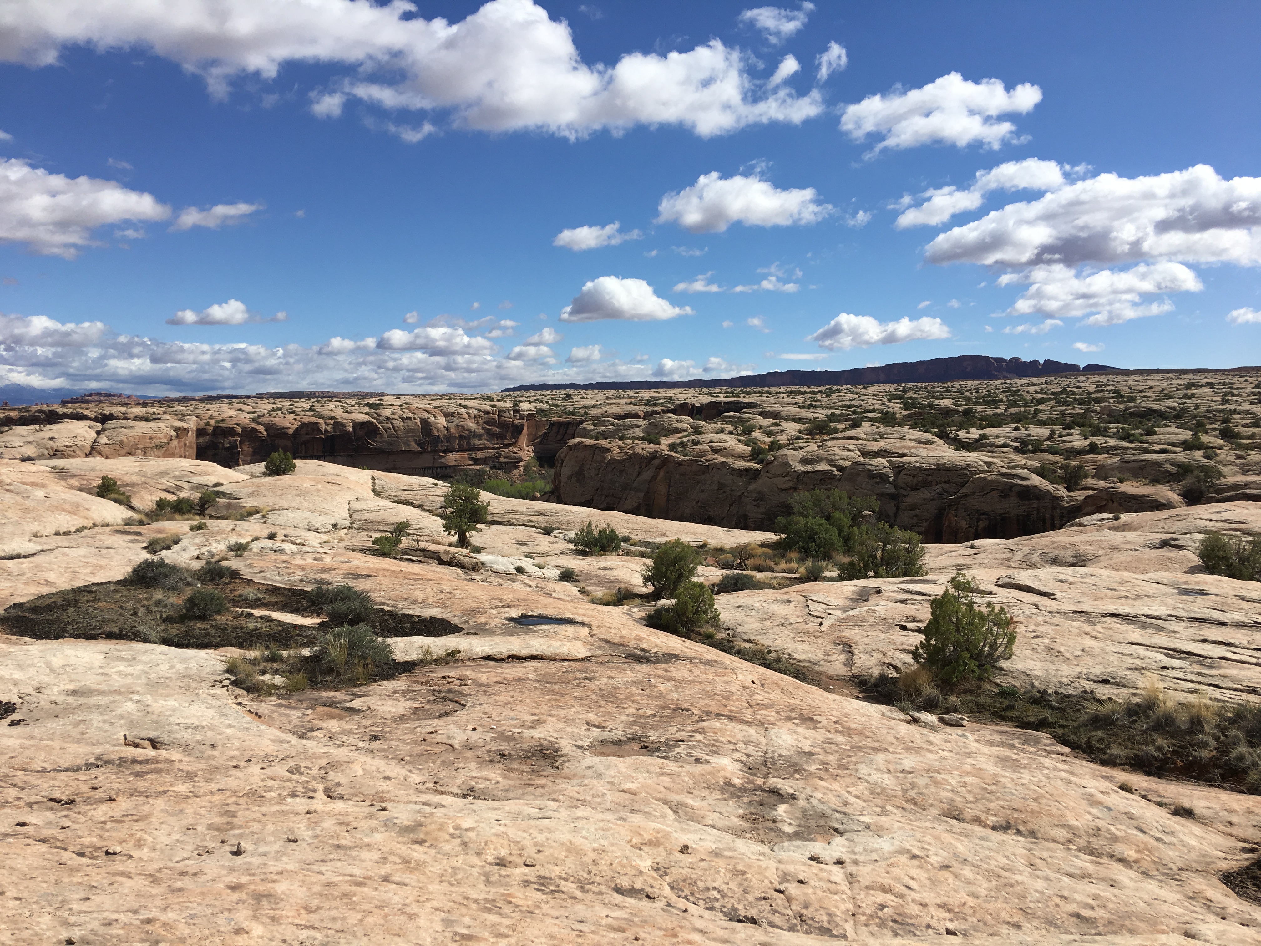 20170401_214341021_iOS