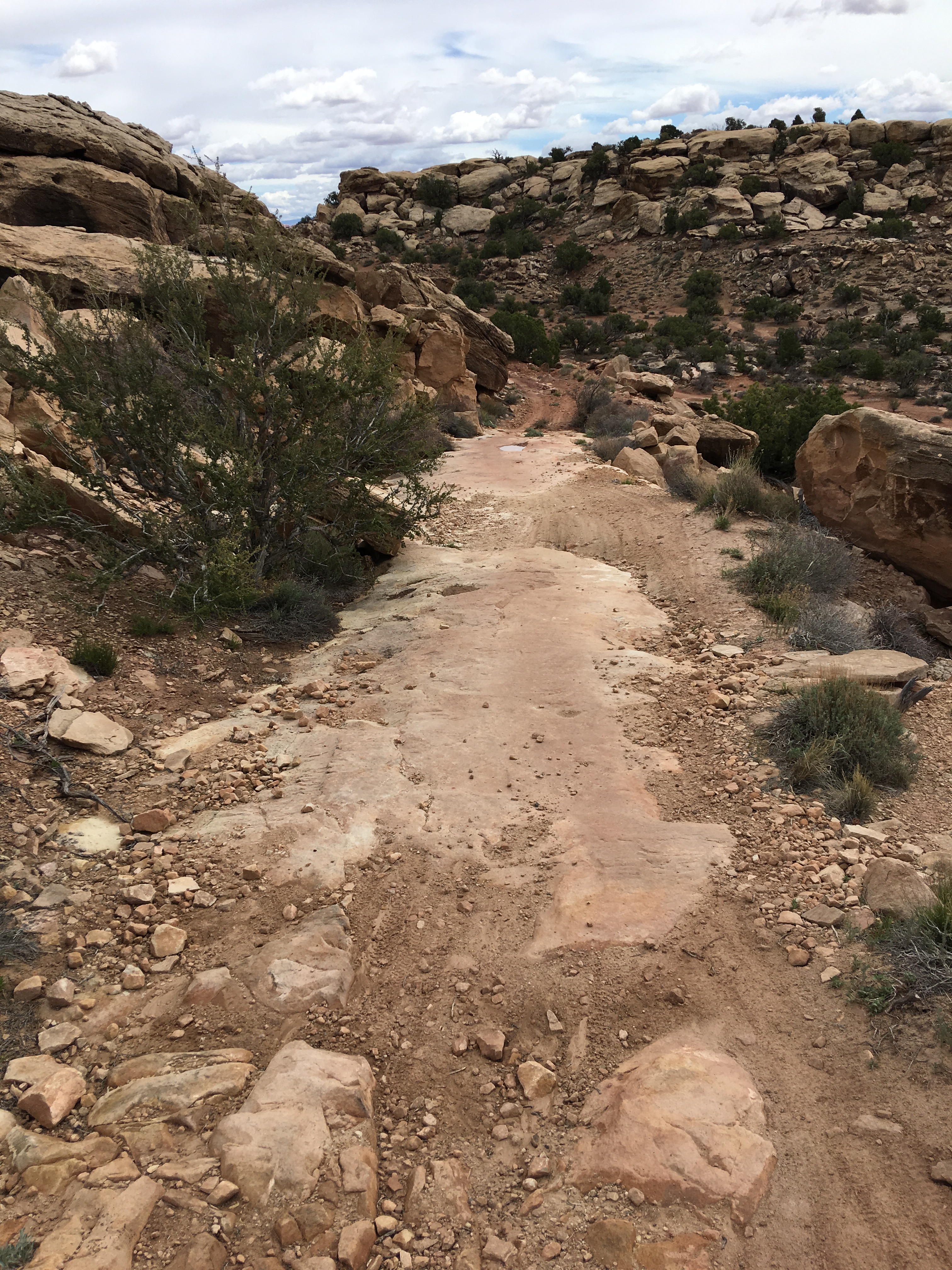 20170402_192133378_iOS