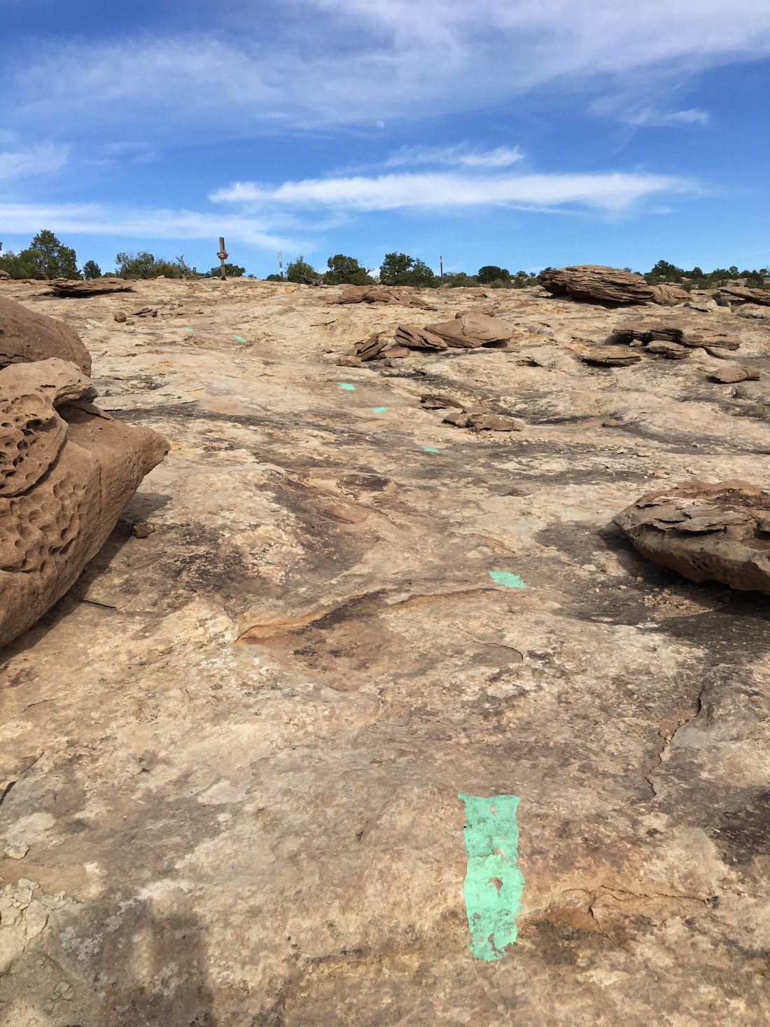 20170406_225055567_iOS