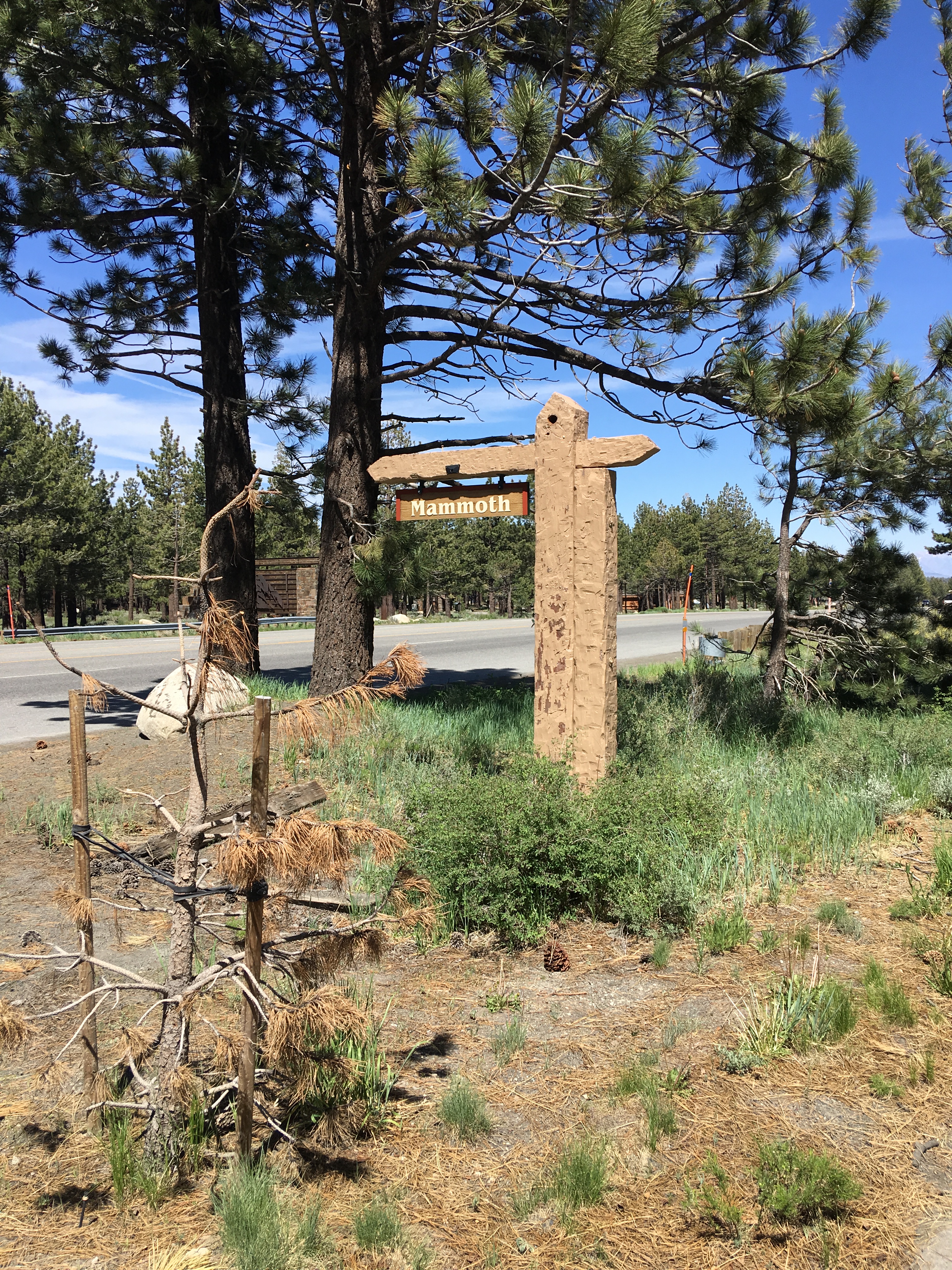 20170605_214816899_iOS