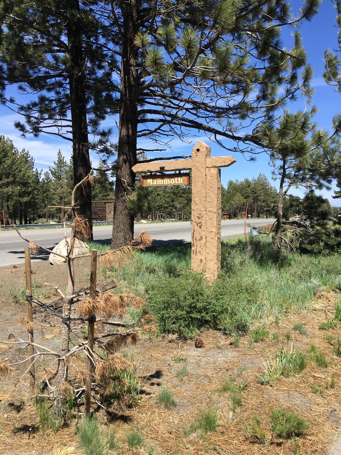 20170605_214816899_iOS