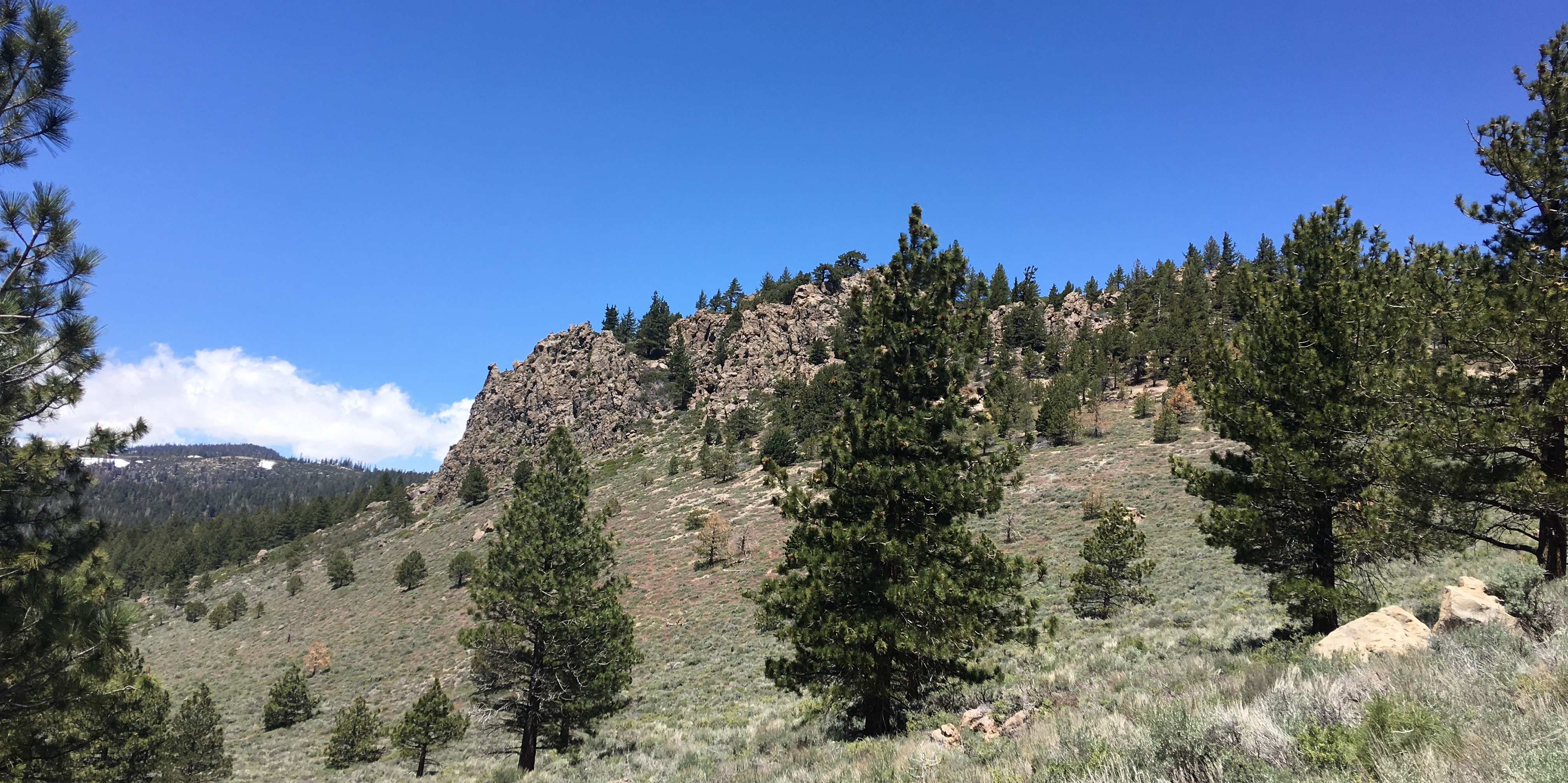 20170610_185212037_iOS