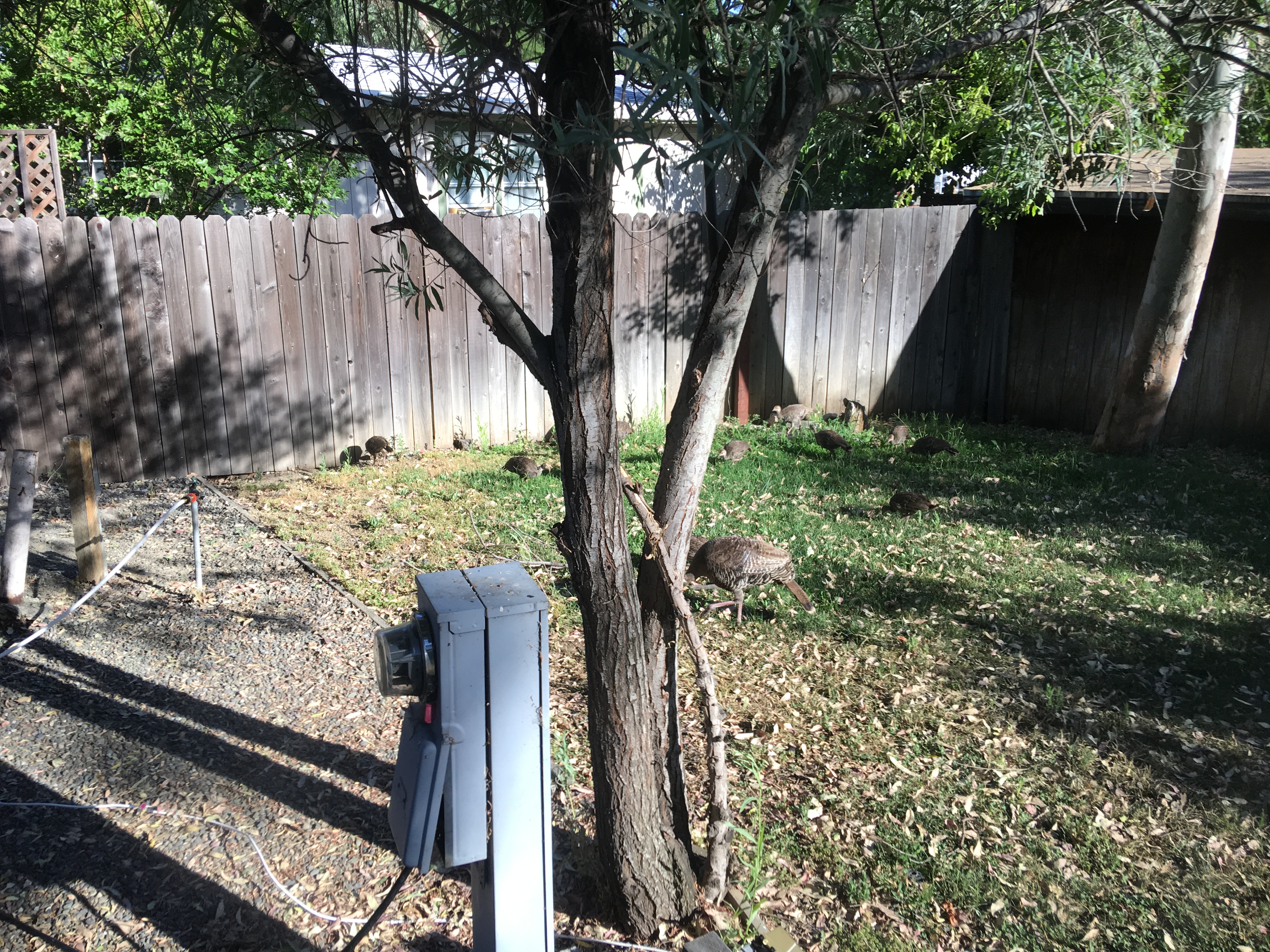 20170622_150200406_iOS