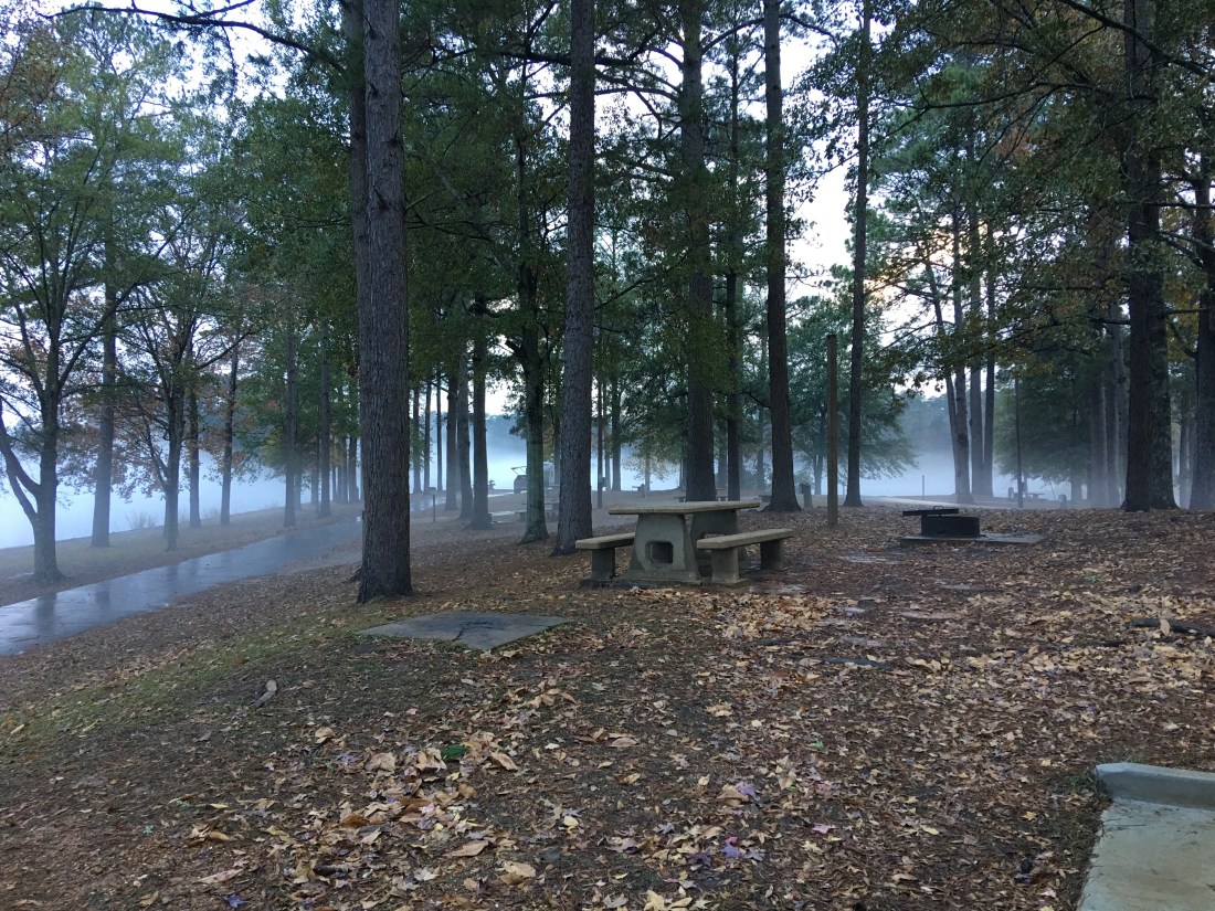 20161212_133404157_iOS