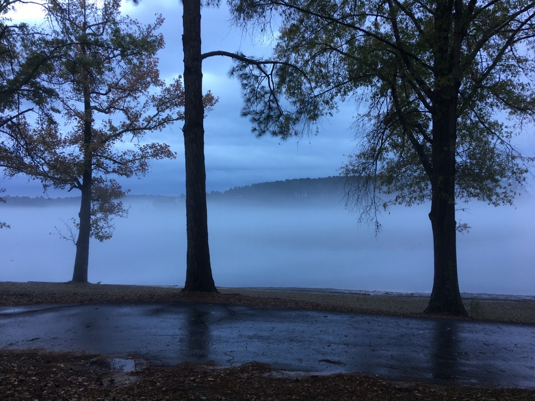 20161212_133414398_iOS