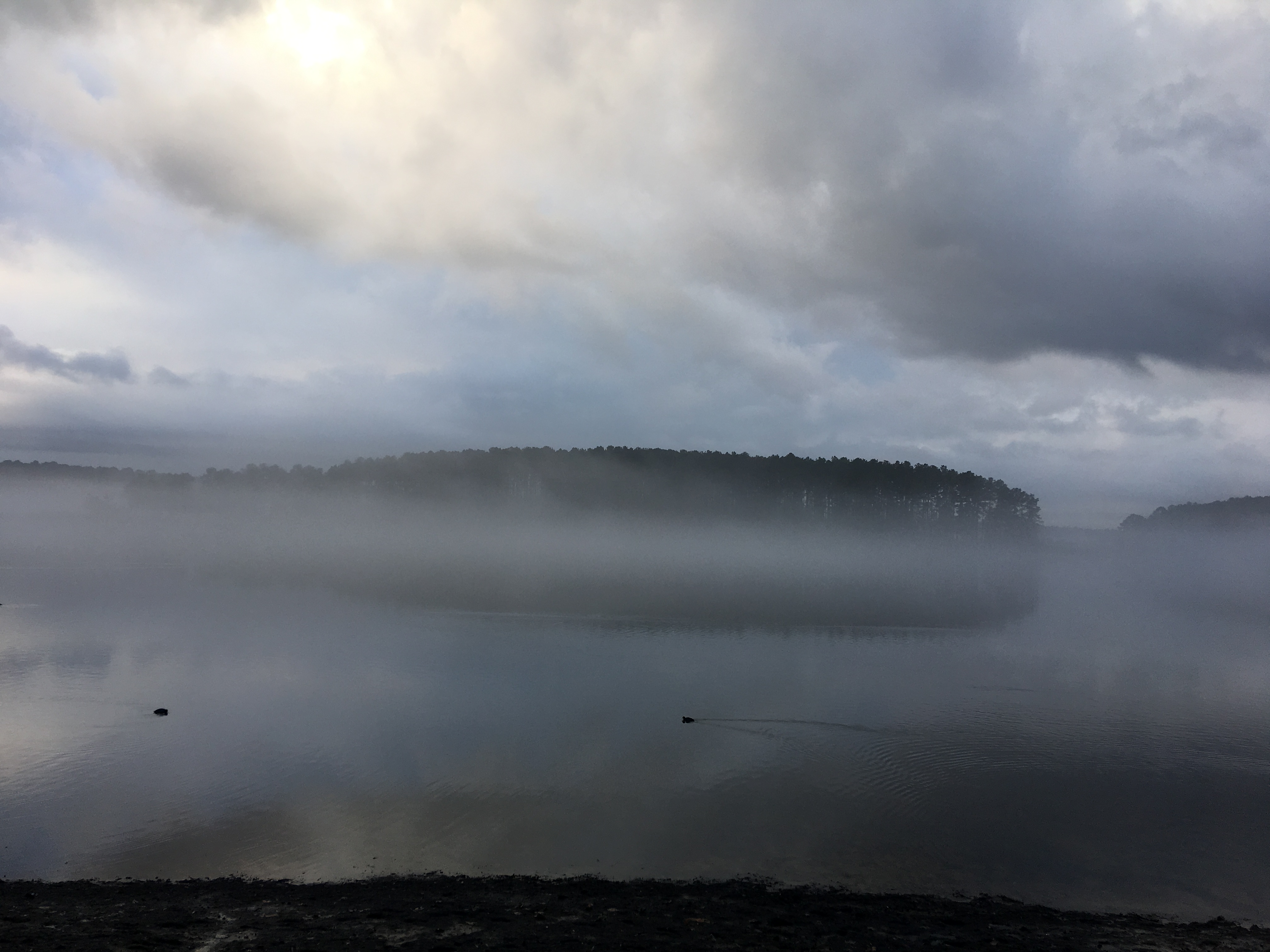 20161212_135200011_iOS