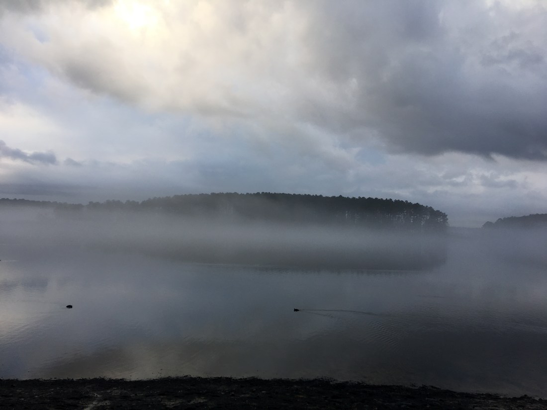 20161212_135200011_iOS