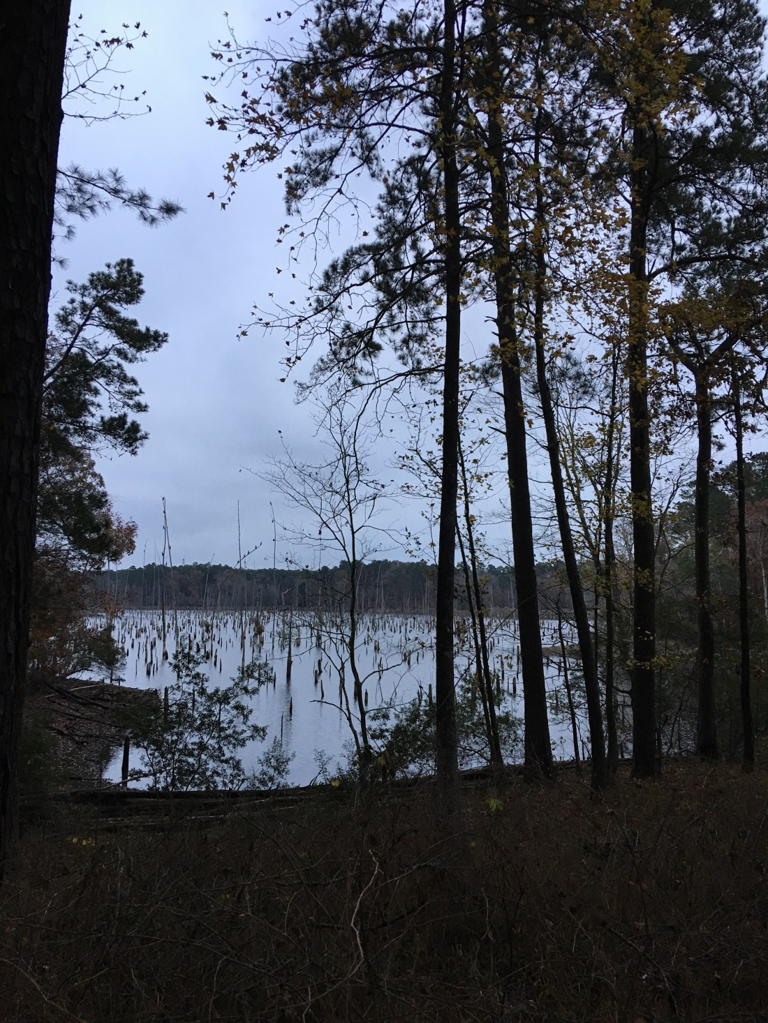 20161214_224900984_iOS