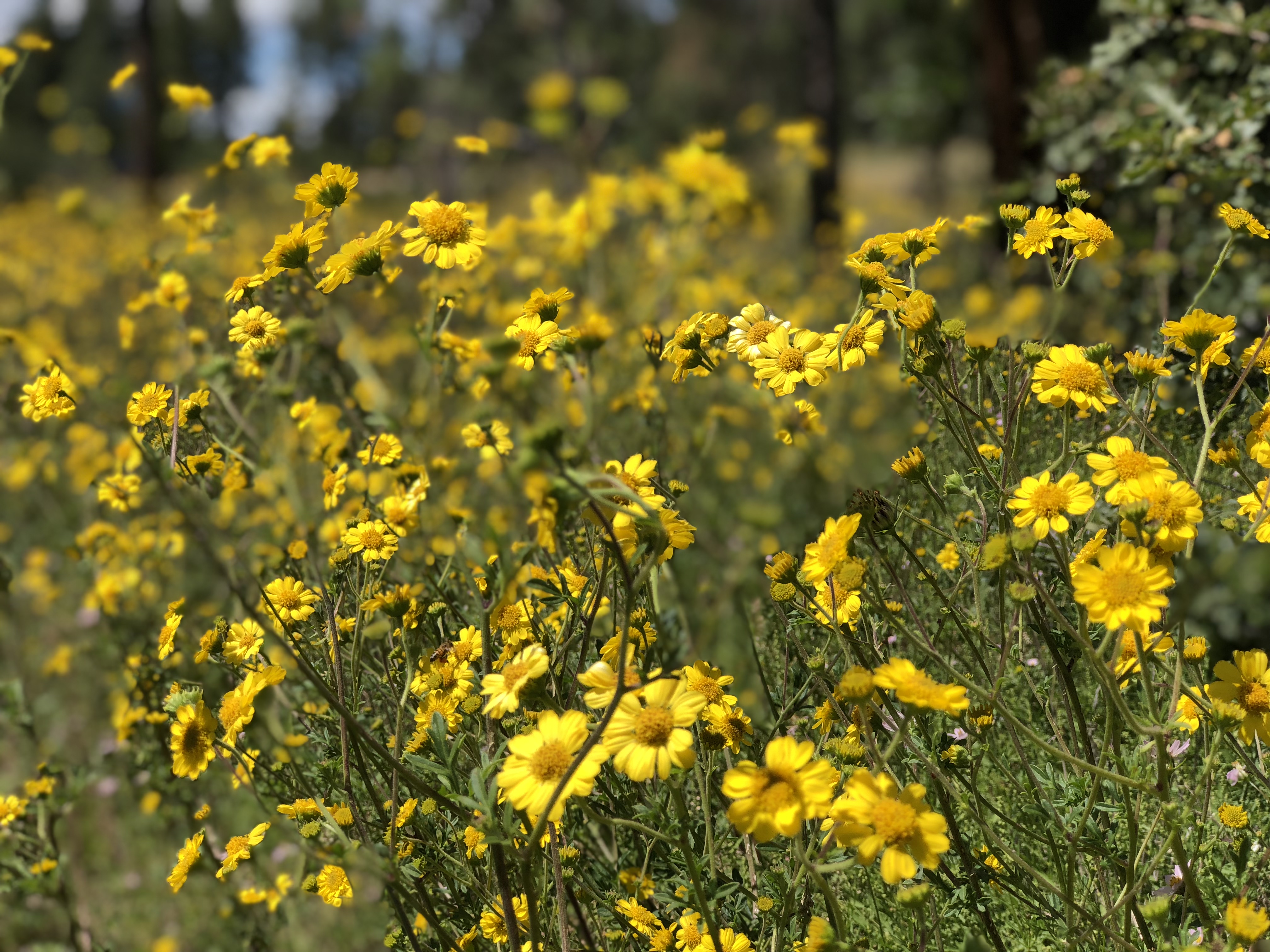 20180831_201211232_iOS