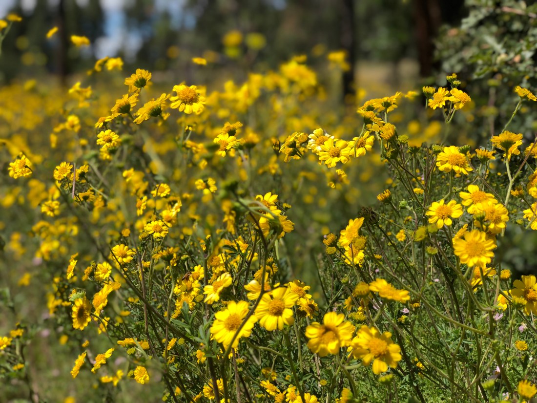 20180831_201211232_iOS