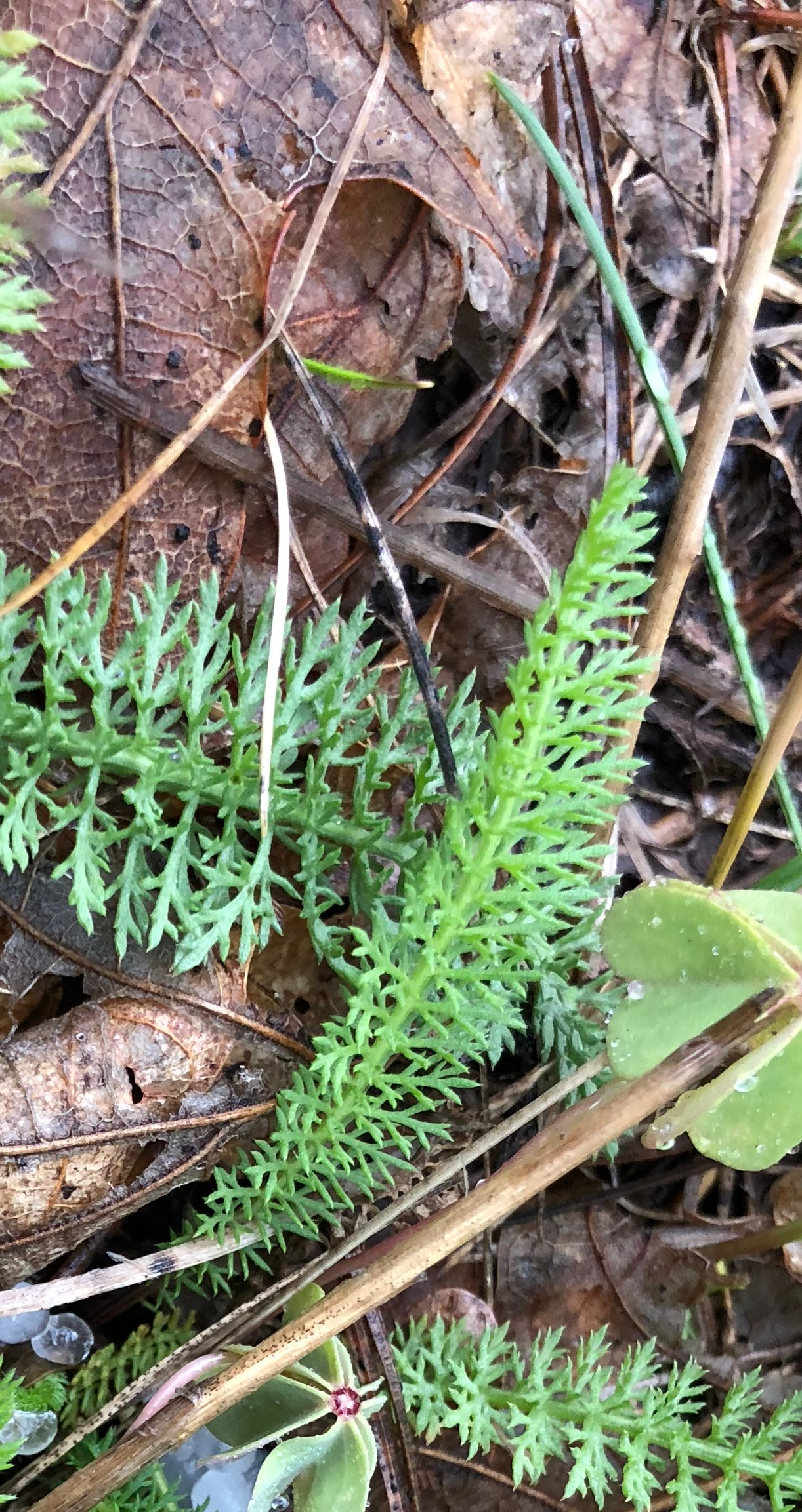 20180901_143942344_iOS