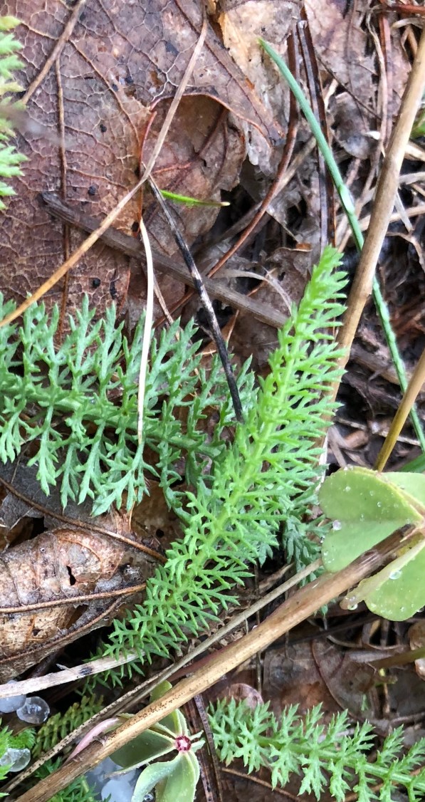 20180901_143942344_iOS