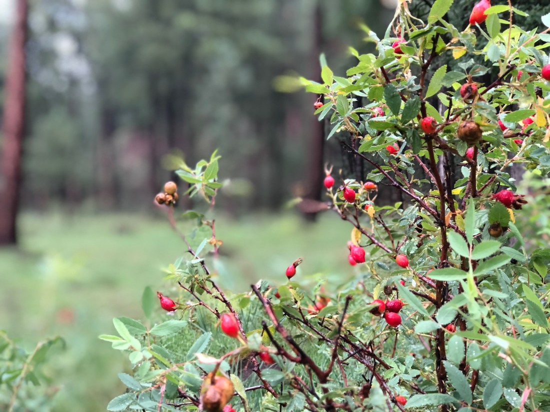 20180901_144107510_iOS