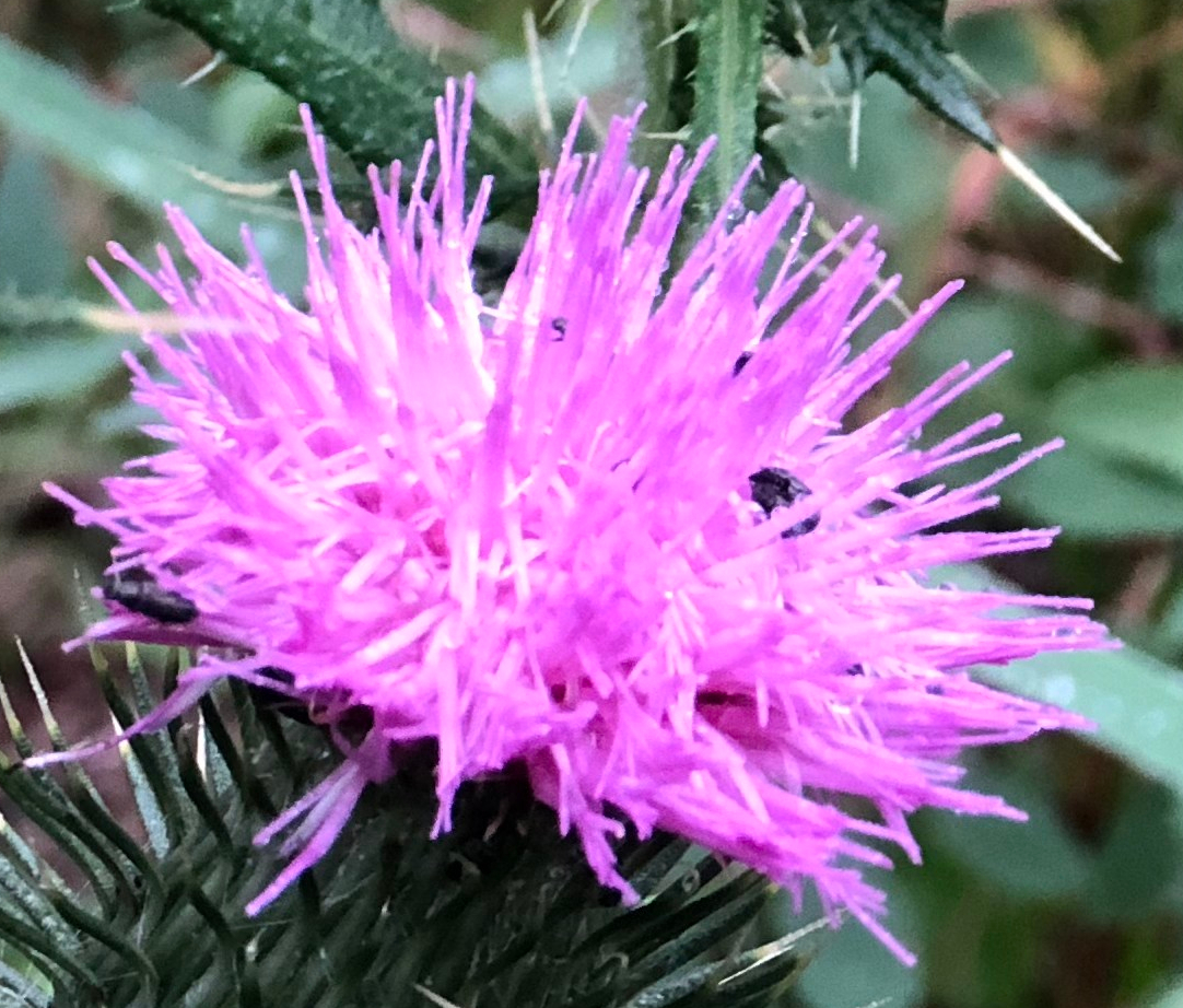 20180901_144127963_iOS