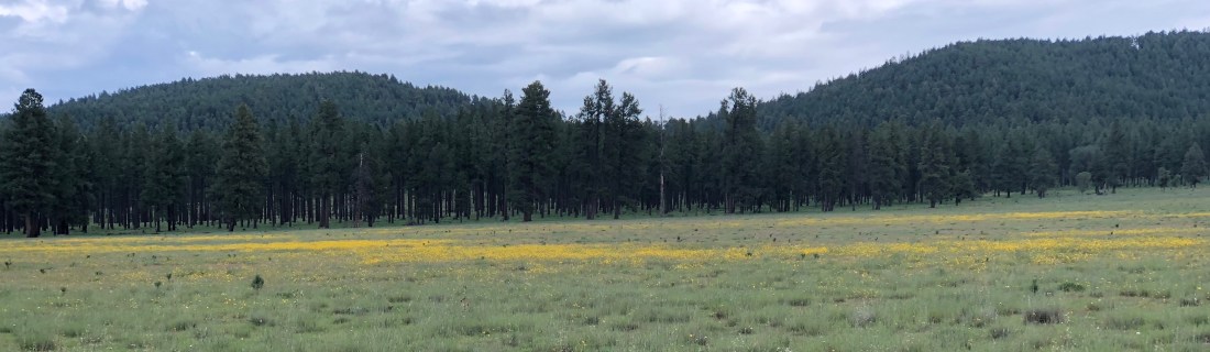 20180901_162055505_iOS