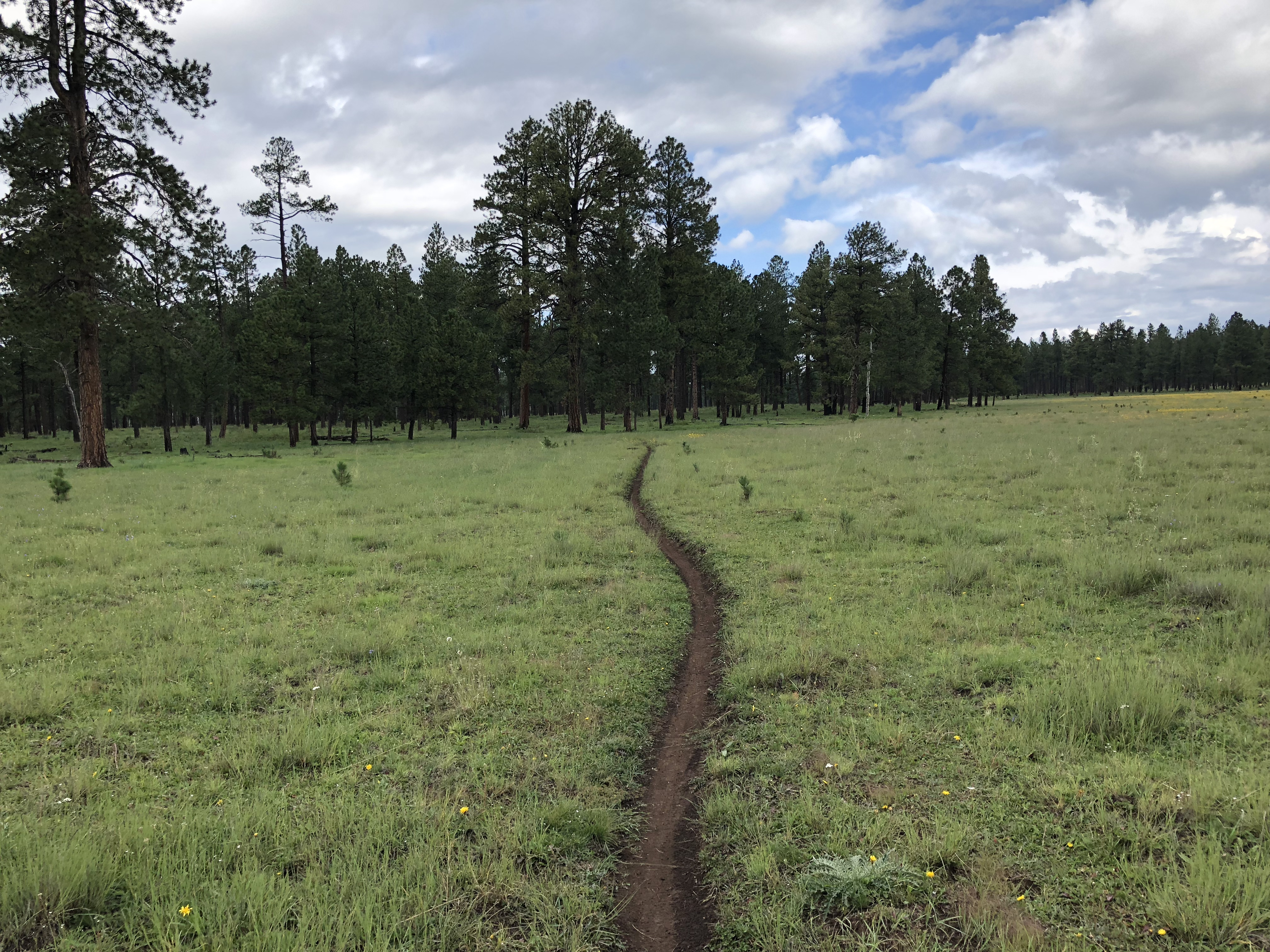 20180901_162141988_iOS