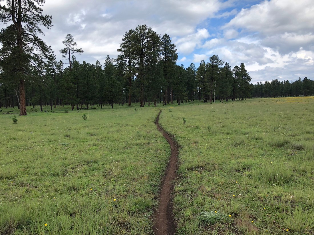 20180901_162141988_iOS