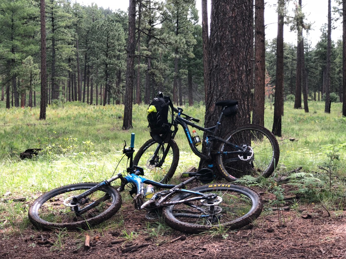 20180901_171924727_iOS