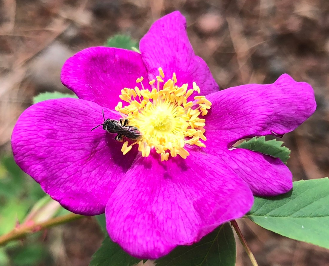 20180901_185422899_iOS