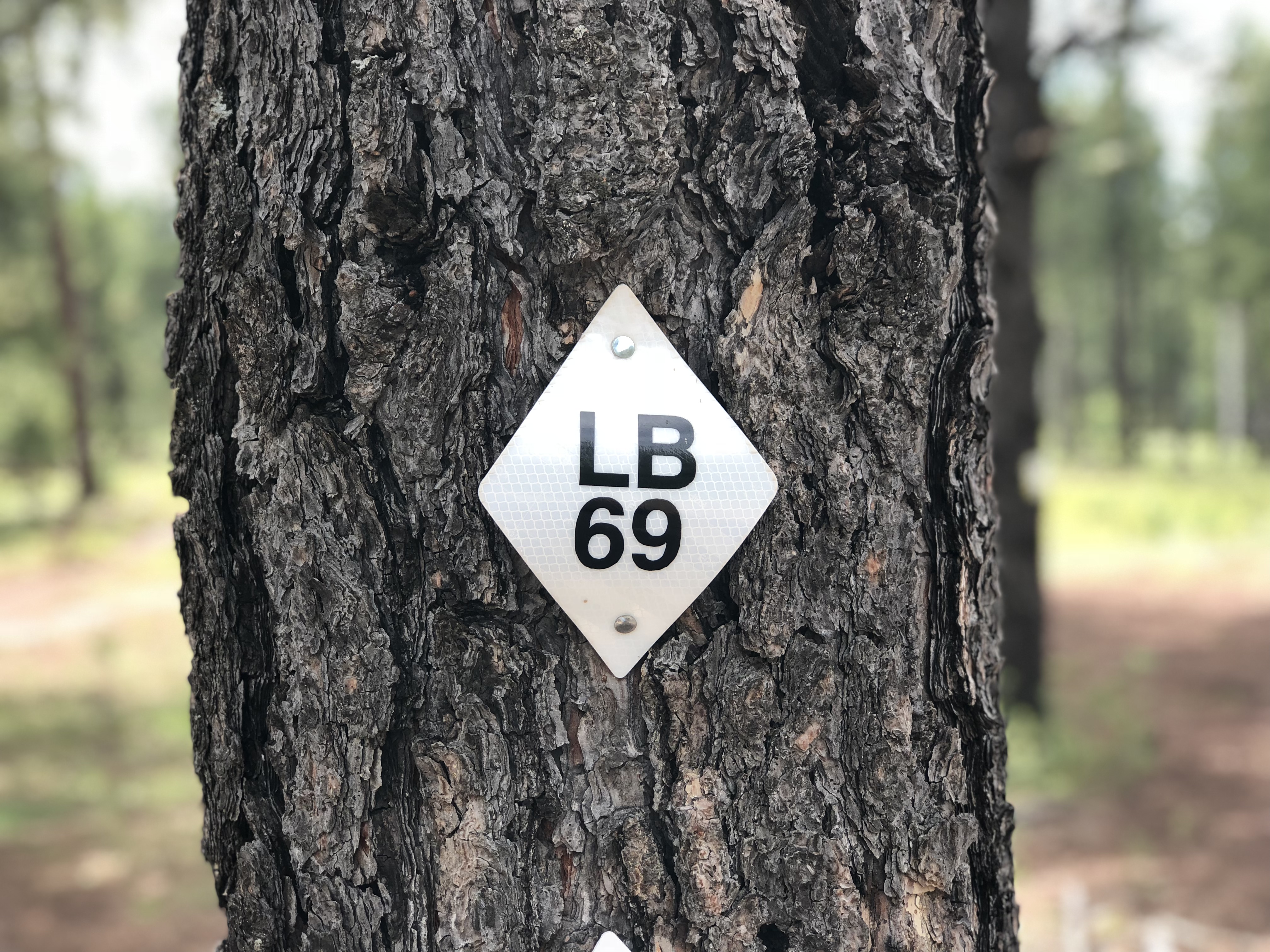 20180901_185456380_iOS