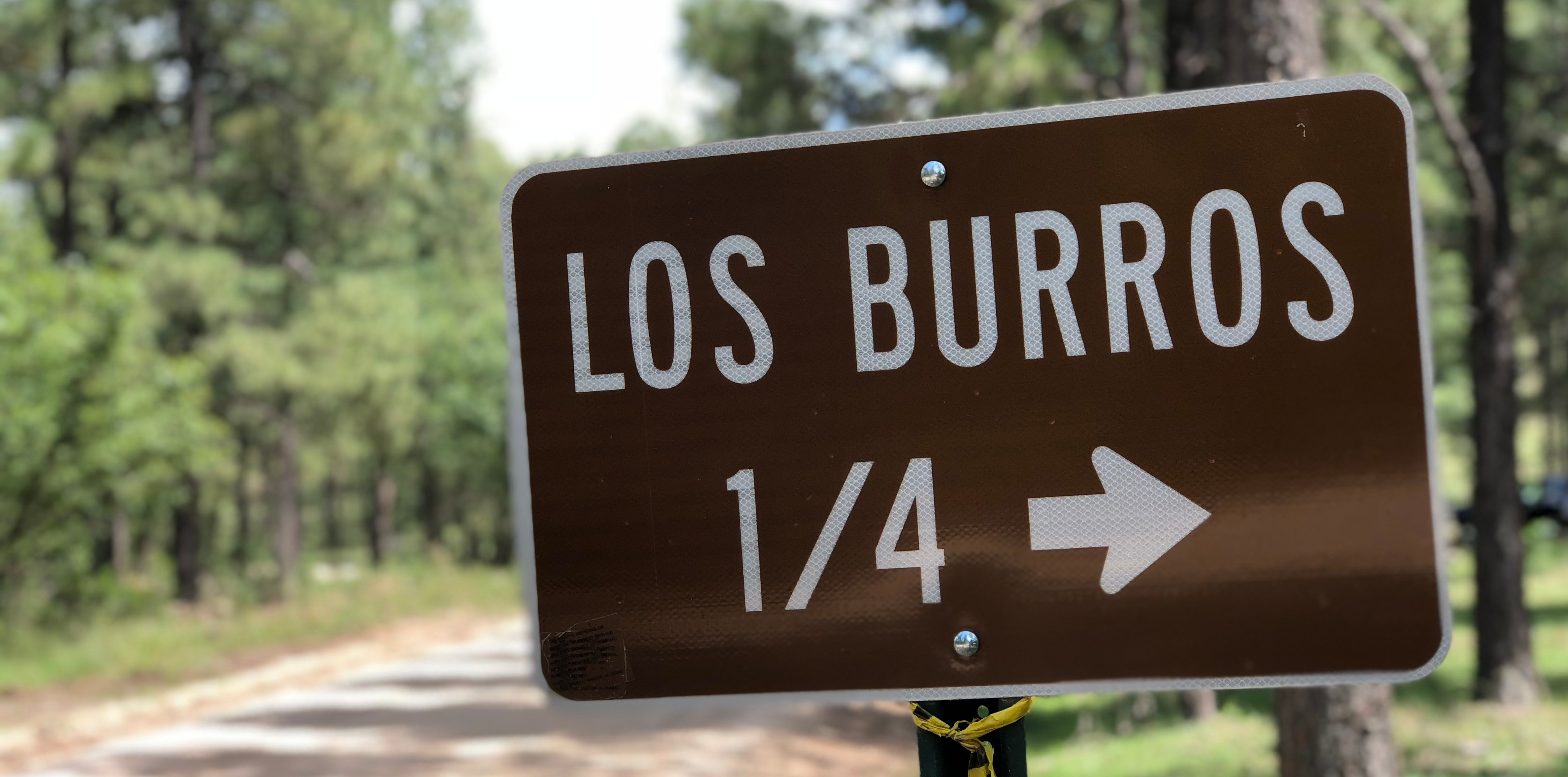 20180901_193116507_iOS