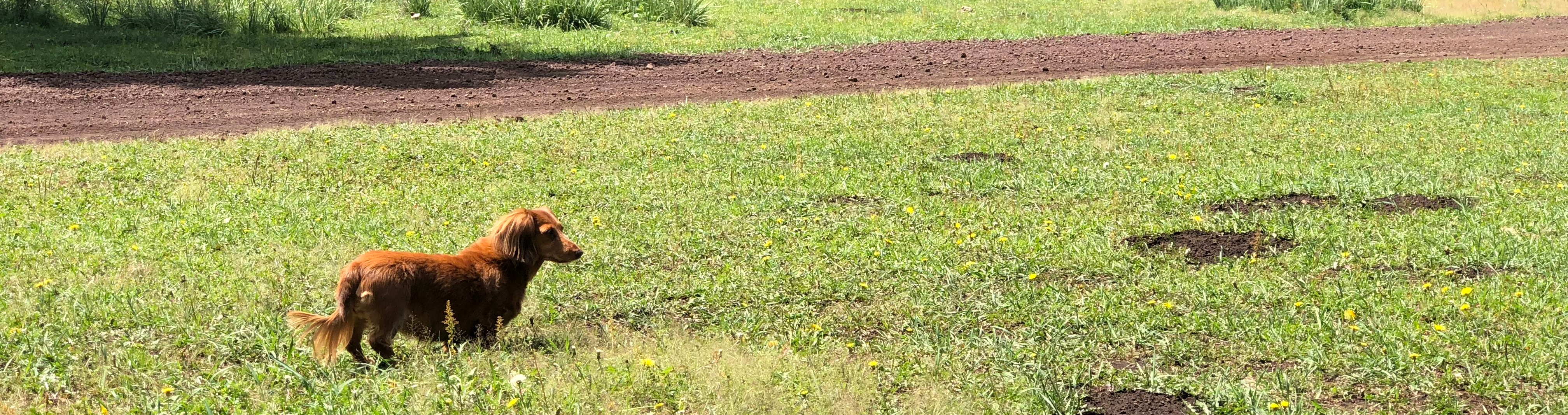 20180901_200255265_iOS