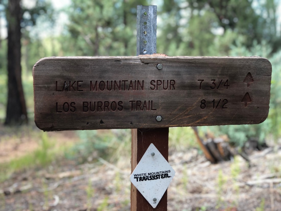 20180902_175436103_iOS