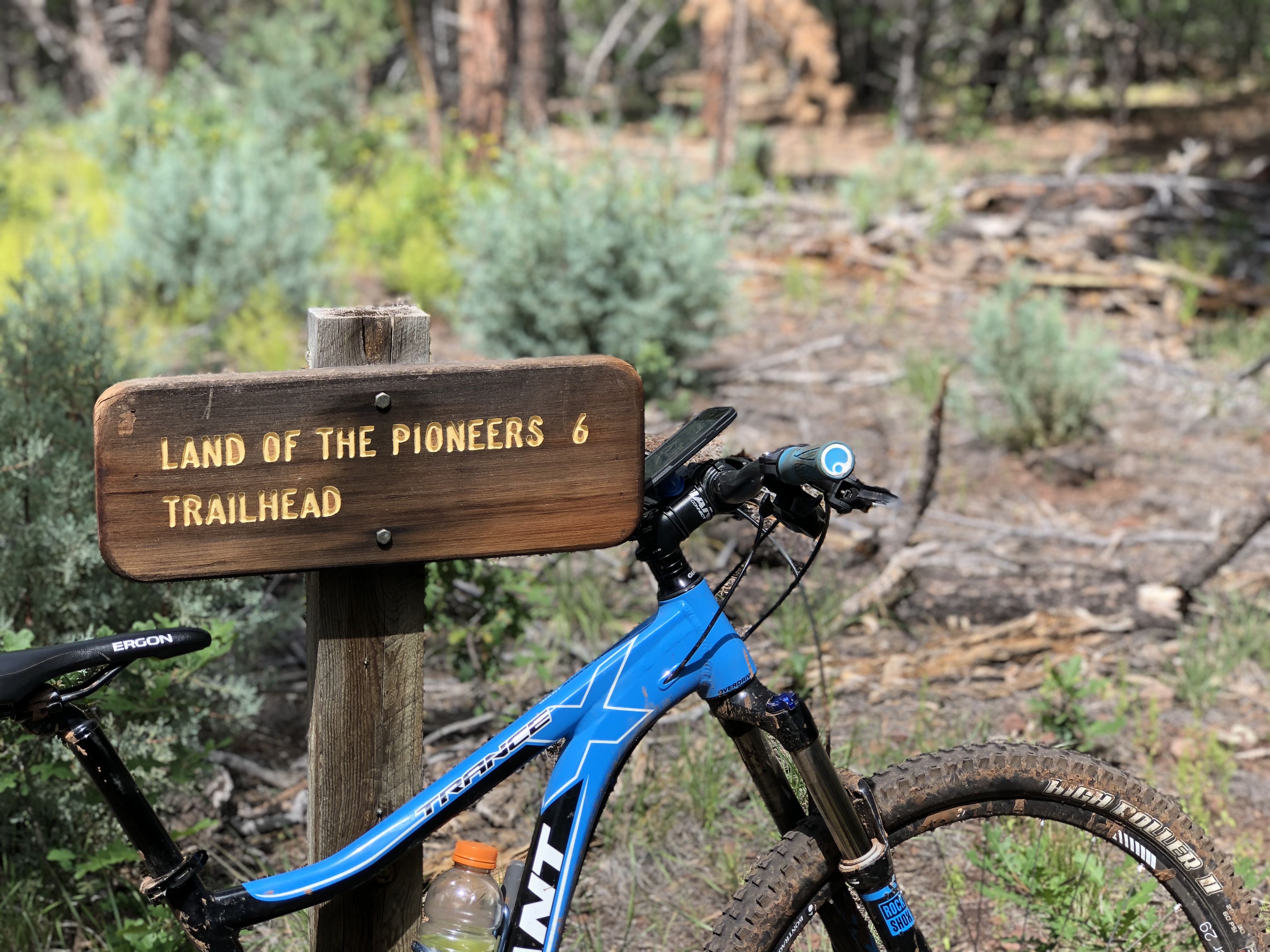 20180902_175459326_iOS