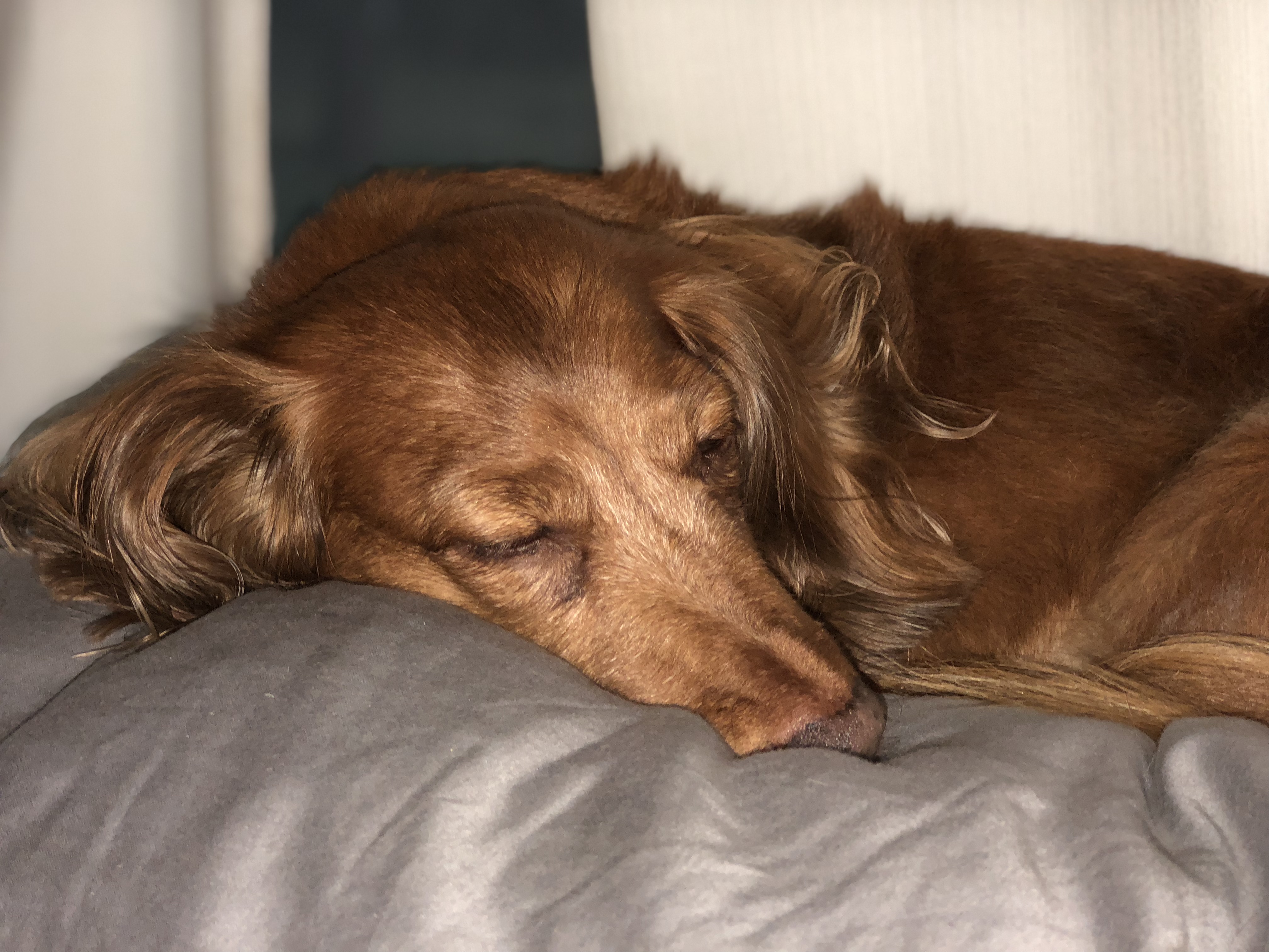 20180902_232819881_iOS