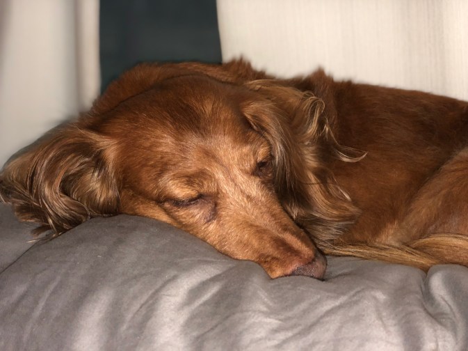 20180902_232819881_iOS