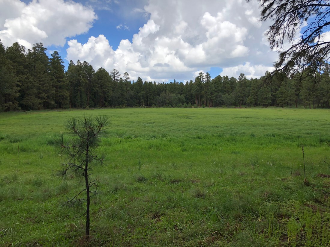 20180903_182033665_iOS