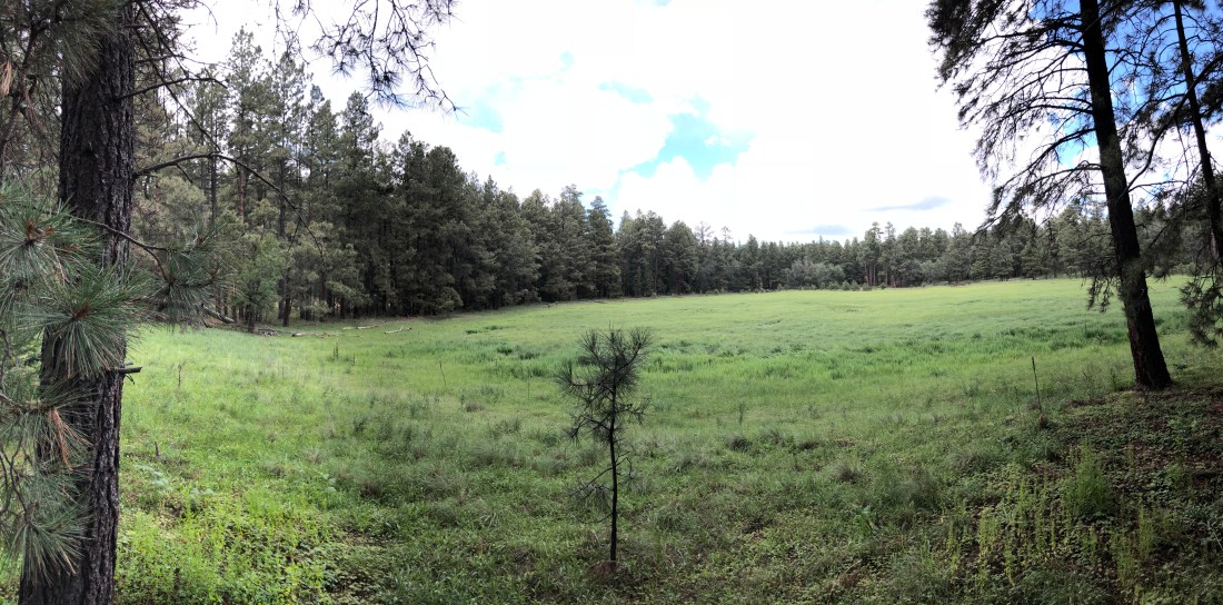 20180903_182045302_iOS