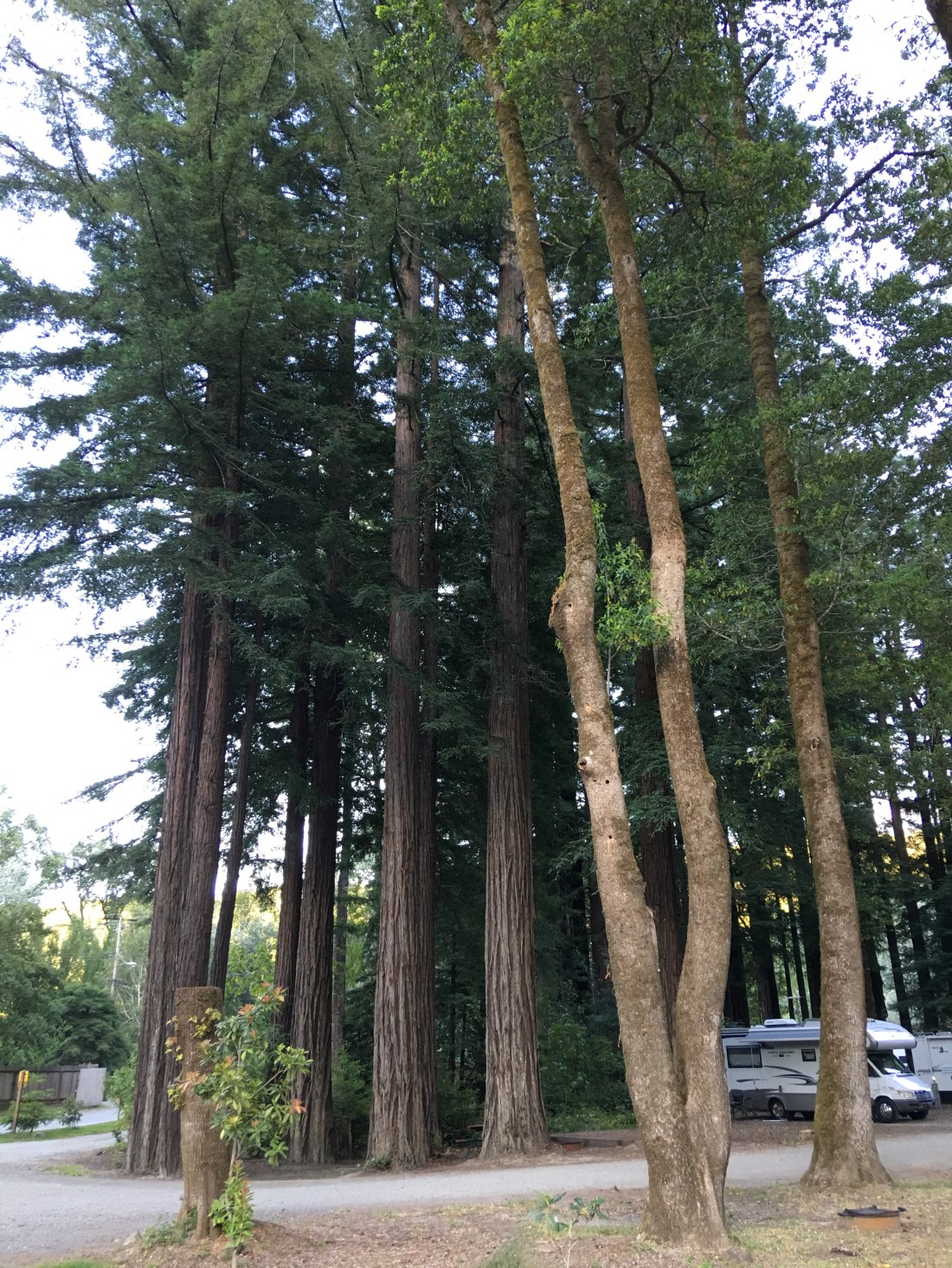 20170627_031202586_iOS