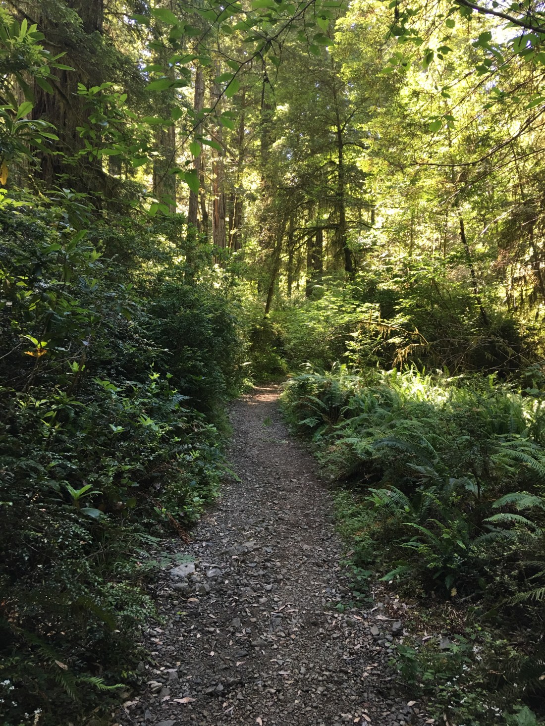 20170628_190000530_iOS