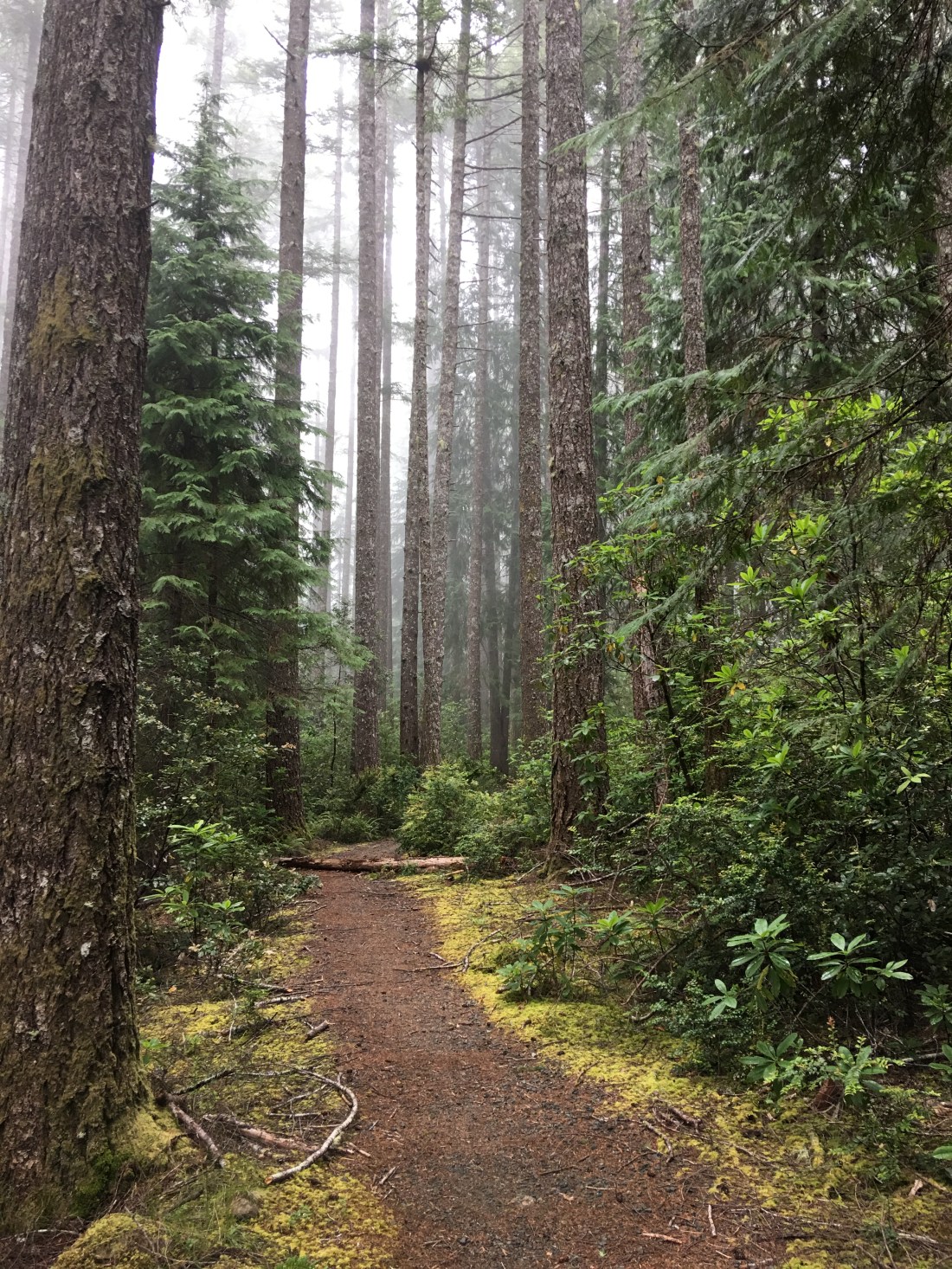 20170630_182918871_iOS