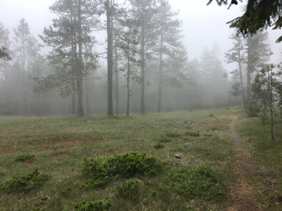 20170630_190529927_iOS